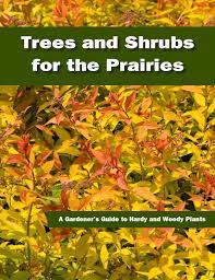 Trees Shrubs For The Prairies By Landscape Alberta Issuu