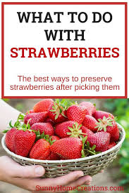 How To Preserve Strawberries Strawberry Preserves How To Store Strawberries Strawberry