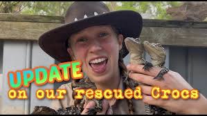 More Baby Alligators in John Chestnut Sr. Park