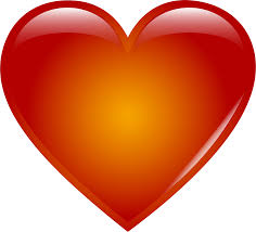 Image result for heart
