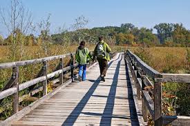 Hier ein praktischer überblick mit streckenbeschreibung und karte. Napoleon Rundwanderweg Durch Die Lobau Vienna Trips At Ausflug Wien Urlaub