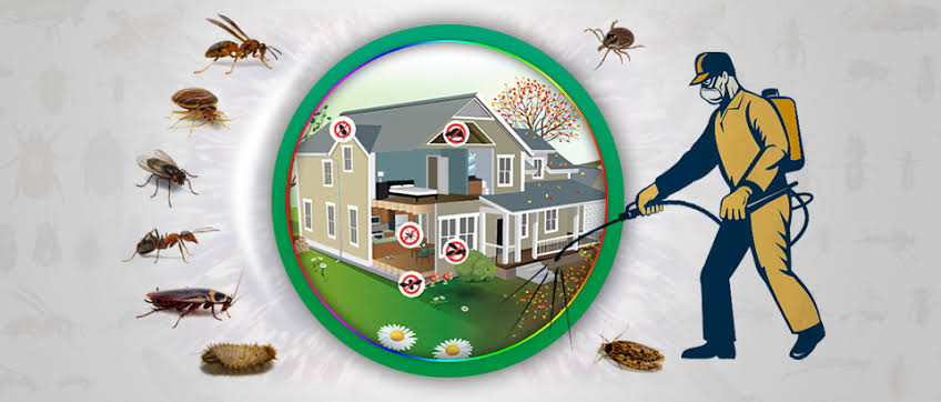 Image result for pest control"