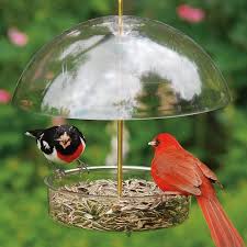 All in all, the droll yankees bird feeder, platform cardinal bird feeders with roof cover is a good bird feeder. Bird Feeder Weather Domes Weather Protection For Hanging Bird Feeders Bird Feeder Weather Rain Domes At Songbird Garden