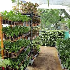 When it comes to growing your own plants, be it a small indoor herb garden or a beautiful landscape outdoors, there are several delicate tasks from seeding to pruning that. Top Gardening Stores In Chennai I Lbb Chennai