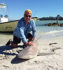 Maybe you would like to learn more about one of these? Tampa Fishing Report Monday April 4 2016 Sandbar Shark Florida Fishing Report