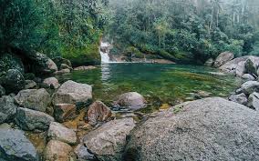 Sua programação é voltada às notícias e ao esporte, sendo a emissora responsável pela cobertura dos principais eventos. O Que Fazer Em Itatiaia Dicas Top Atracoes Do Parque Nacional