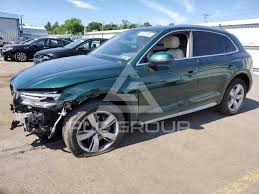 Image result for Azorean Green 2019 Q5