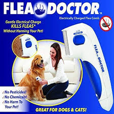 Flea collars for cats have come a long way in their ability to repel biting bugs. Electric Charged Flea Comb Flea Doctor Electric Charged Flea Comb Wholesale Trader From New Delhi