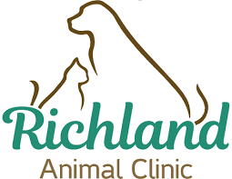 The vital care program is built to help you manage your pet's health throughout the year by enrolling in a. Richland Animal Clinic Veterinarians In Nashville Tn