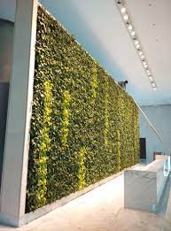 Elt India Indoor Green Wall In Mumbai Green Wall Vertical Garden Living Wall
