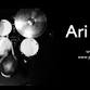 Ari Hoenig event image