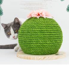Cat Supplies Panosundaki Pin