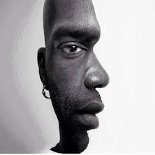 Image result for illusion pictures