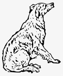 Welcome to our complete pet parent's guide to the smallest dog of the poodle family with all of the temperament and characteristics we love in their standard sized parents. Poodle Png Free Hd Poodle Transparent Image Pngkit
