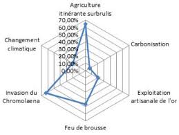 Image result for Leptonychia tokana