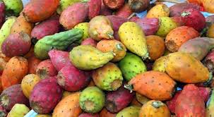 Figue De Barbarie Hendi Prickly Pear Fig Oil Usda Organic
