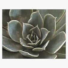 Shop our huge selection of puzzles, games & toys now. Succulent Jigsaw Puzzles Redbubble