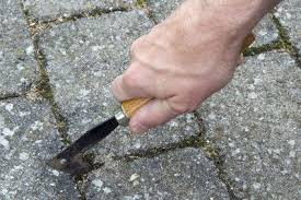 Mit Einem Fugenkratzer Konnen Sie Lastiges Unkraut Entfernen Unkraut Unkraut Entfernen Moos Entfernen