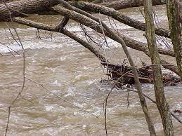 River Hazards Strainers