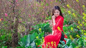 Kết quả hình ảnh cho vườn xuân