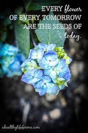 Pin By Susan Mroz On Have A Great Day Growing Hydrangeas Gardening For Beginners Flower Gardening Diy