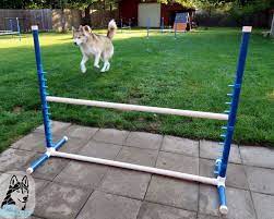 Diy Build Your Own Agility Jumps For Backyard Fun Gone To The Snow Dogs Siberian Husky Love Dog Agility Course Dog Agility Course Diy Diy Dog Stuff