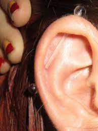Pin On Industrial Piercings