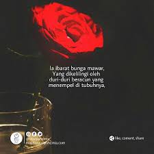 Ia Ibarat Bunga Mawar Yang Dikelilingi Oleh Duri Duri Beracun Yang Menempel Di Tubuhnya Ia Berada Di Daerah Yang Gersang Di Ujun Bunga Menggambar Bunga Gambar