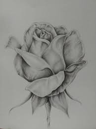Find images of flower drawing. Rose Print In 2021 Pencil Drawings Of Flowers Roses Drawing Flower Drawing