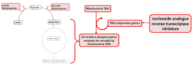 Image result for Nucleoside Reverse Transcriptase Inhibitor