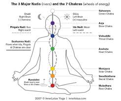 3 major nadis 7 chakras kundalini yoga yoga nidra chakra