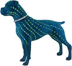 Flea collars provide an easy way to deliver the active ingredients needed to kill or repel fleas. The 10 Best Dog Flea Collars Of 2021 Pet Loves Best