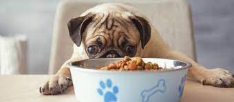 No preservatives · fresh, healthy meals · personalized meal plans The Best Dog Food For Pugs Review In 2021 Pet Side