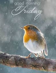 Birds Chirping In The Morning Quotes Beautiful Good Morning Friday Quote Friday Happy Friday Tgif Good Morning Friday Quotes Friday Quo In 2020 Good Morning Friday Good Morning Beautiful Its Friday Quotes