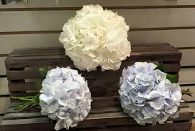 Posed shot of princess louise (wearing feathered hat and long coat) holding flowers and stick & dignitaries royalty, great britain background: Wedding Flowers Amy Louise Floral Design