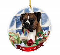 16 Best Gifts For Boxer Dog Owners And Lovers The Paws