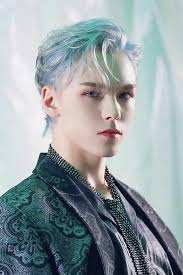 Vernon seventeen: Discover 71 ideas from "vernonie"