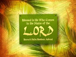 Image result for images Hosanna, Hosanna Hosanna in the highest