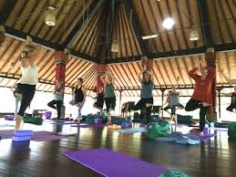 Maybe you would like to learn more about one of these? 8 Days Deaf Yoga Retreat In India Bookyogaretreats Com