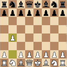 Pawns must be exchanged to develop a hole through which rooks can be lifted and this is simply termed: Polish Opening Chess Pathways