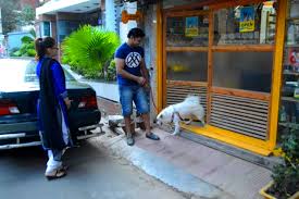 We're a dedicated, experienced and passionate team of veterinary specialists, nurses and professionals based in jeddah,saudi arabia our mission, and sole focus, is to provide outstanding care. Dr Sagir S Pet Clinic Dhaka Specialist Doctor List