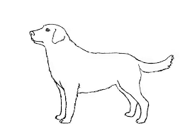 Step 2 draw a curved line from the chin till the left fore leg and then draw the other leg. How To Draw Dogs Step By Step Easy Animals 2 Draw Dog Drawing Dog Steps Animal Drawings