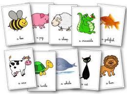 Les Animaux En Anglais Aux Cycles 2 Et 3 Flashcards Lecons Memory Les animaux d'afrique + les animaux de la ferme + les mammifères + les insectes + les oiseaux. les animaux en anglais aux cycles 2 et