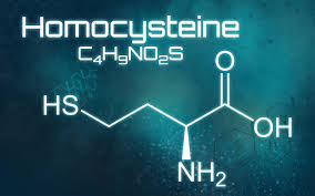 Image result for Homocysteine