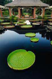 Peace Stillness Zen Garden Beautiful Places Places Japanese Garden