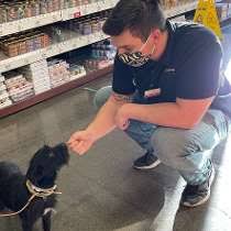 Oct 16, 2020 · @universityofky posted on their instagram profile: Pet Food Express Jobs In Walnut Creek Ca Glassdoor