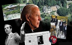 Image result for Bidens buchneri