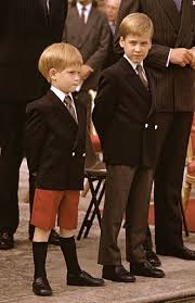 El príncipe enrique, duque de sussex (henry charles albert david; Principes William Y Harry Prince William And Harry Prince William And Kate Prince Harry Of Wales