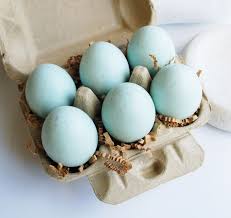 Small White Bird Eggs With Brown Spots Egg Soap Robin 39 S Egg Soap Set Glycerin Soap Easter Soap Spring Gift Soap Speckled Bird Egg Egg Carton Shea Butter So Egg Soaps Soap Set Easter Soap