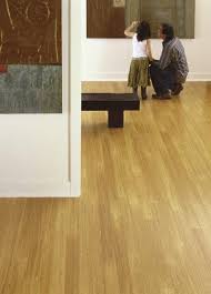 Teragren Synergy Strand Bamboo Solid Strip Floor In Wheat Strand Bamboo Flooring Hardwood Floors Flooring